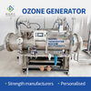 Large Big Ozone Generator