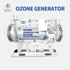 Large Big Ozone Generator